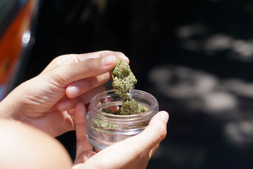 Cannabis in a clear glass jar