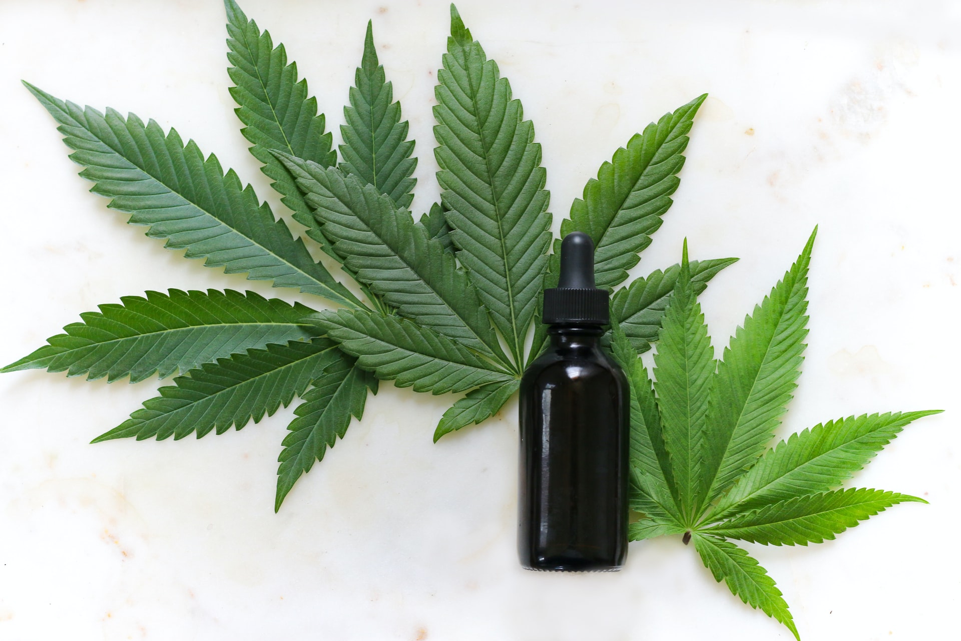 green cannabis leaves and black glass bottle
