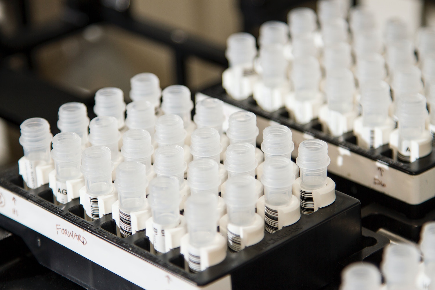 Drug test vials in a laboratory